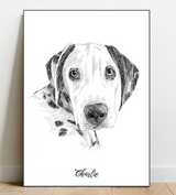 Portrait Sketch of your pet