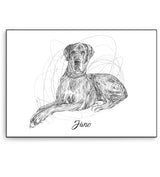 Full Body Sketch Pet Portrait