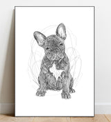 Full Body Sketch Pet Portrait