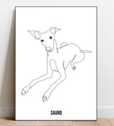 Minimalistic Illustration