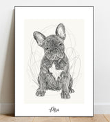 Full Body Sketch Pet Portrait