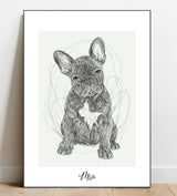 Full Body Sketch Pet Portrait