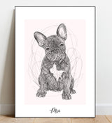 Full Body Sketch Pet Portrait