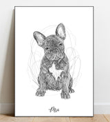 Full Body Sketch Pet Portrait