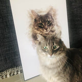 Watercolour Pet Illustration