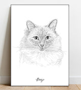 Portrait Sketch of your pet