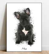 watercolour dog portrait Misu
